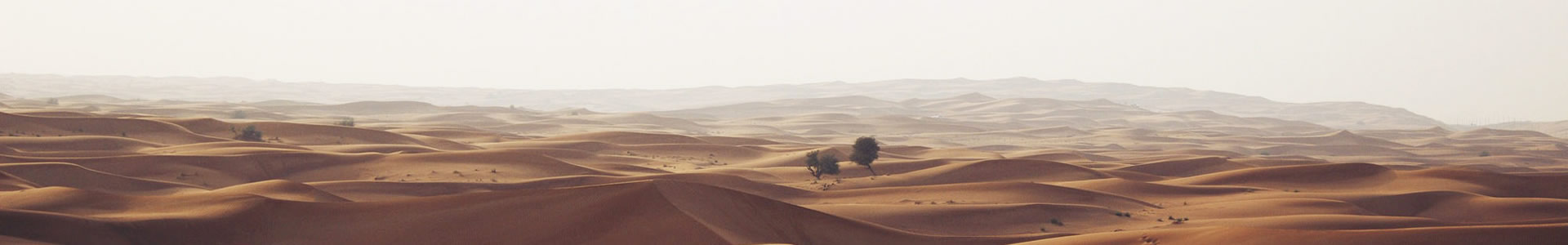 ŵʳƷе޹˾